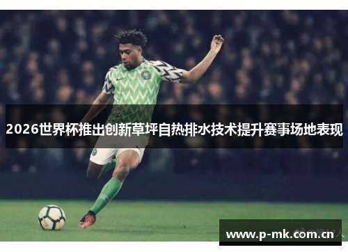 2026世界杯推出创新草坪自热排水技术提升赛事场地表现